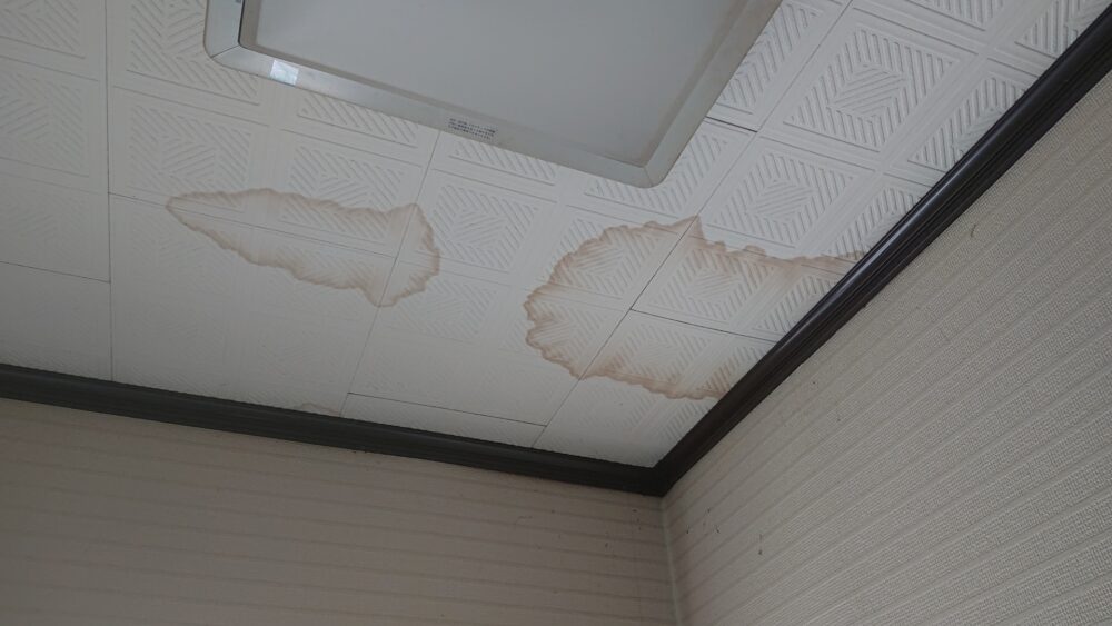 亀岡市の放置された空き家の天井のしみ（雨漏り跡）