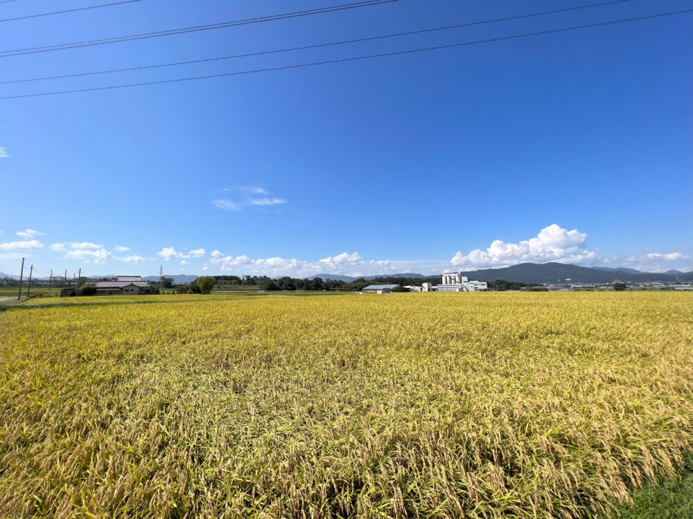 亀岡市千歳町千歳の景色