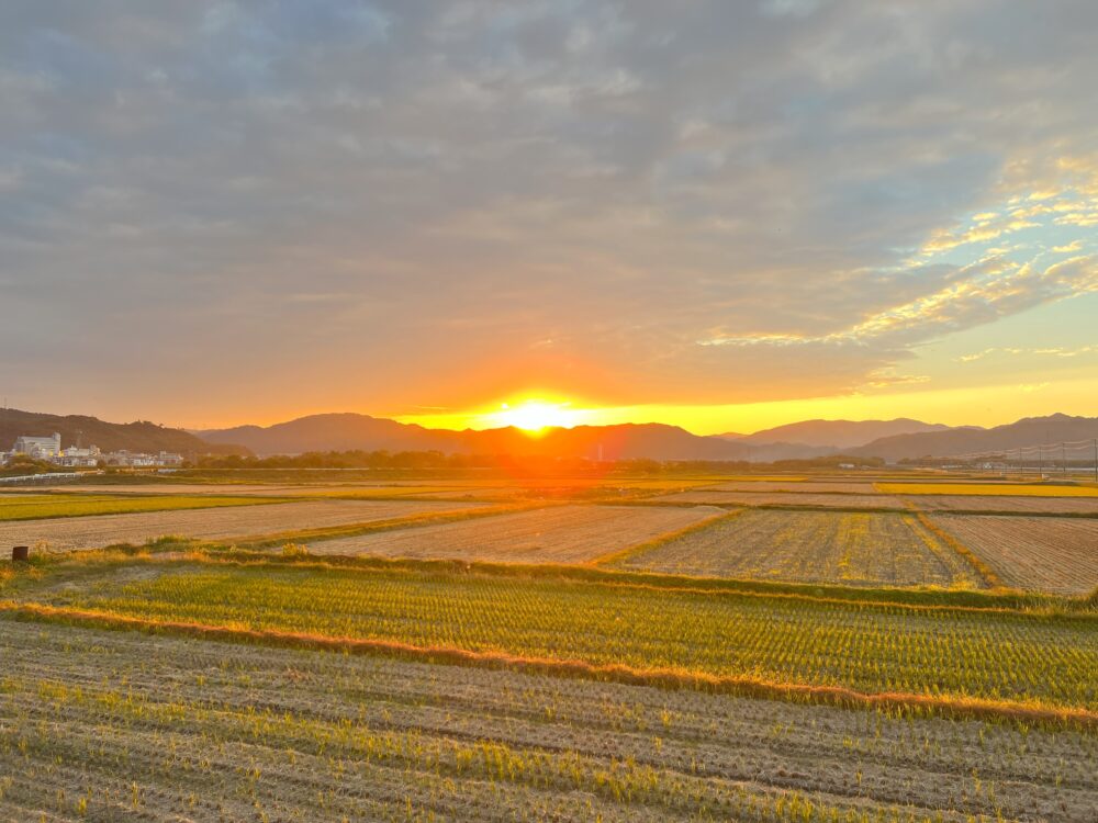 保津町上火無の風景