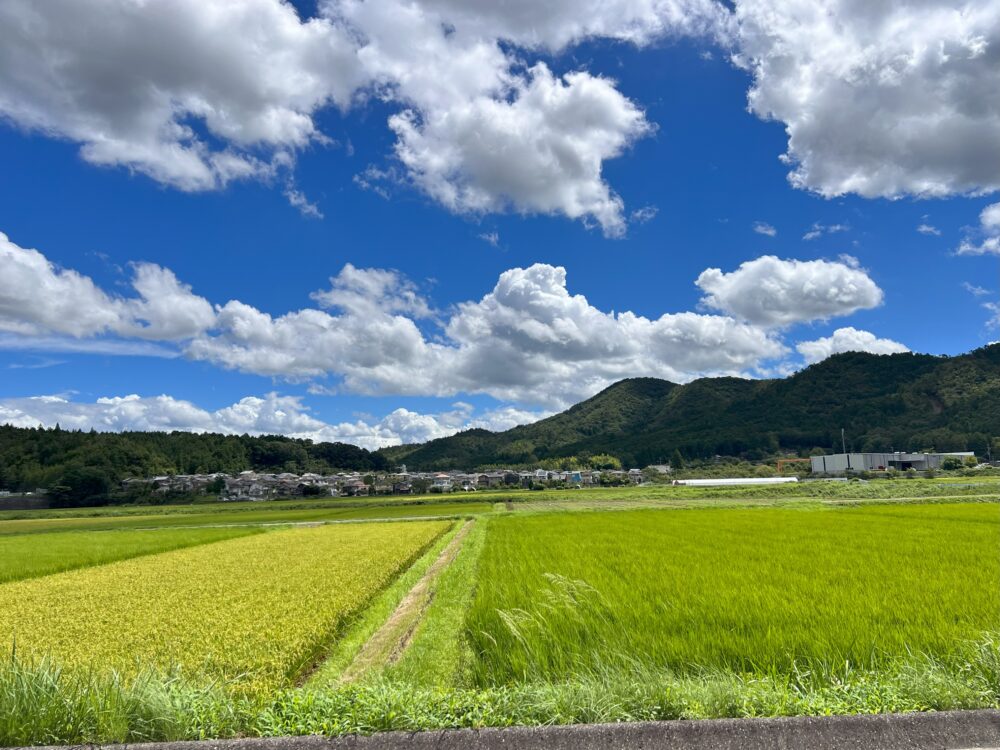 亀岡市本梅町の景色