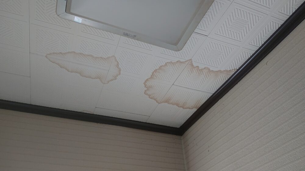 雨漏り跡