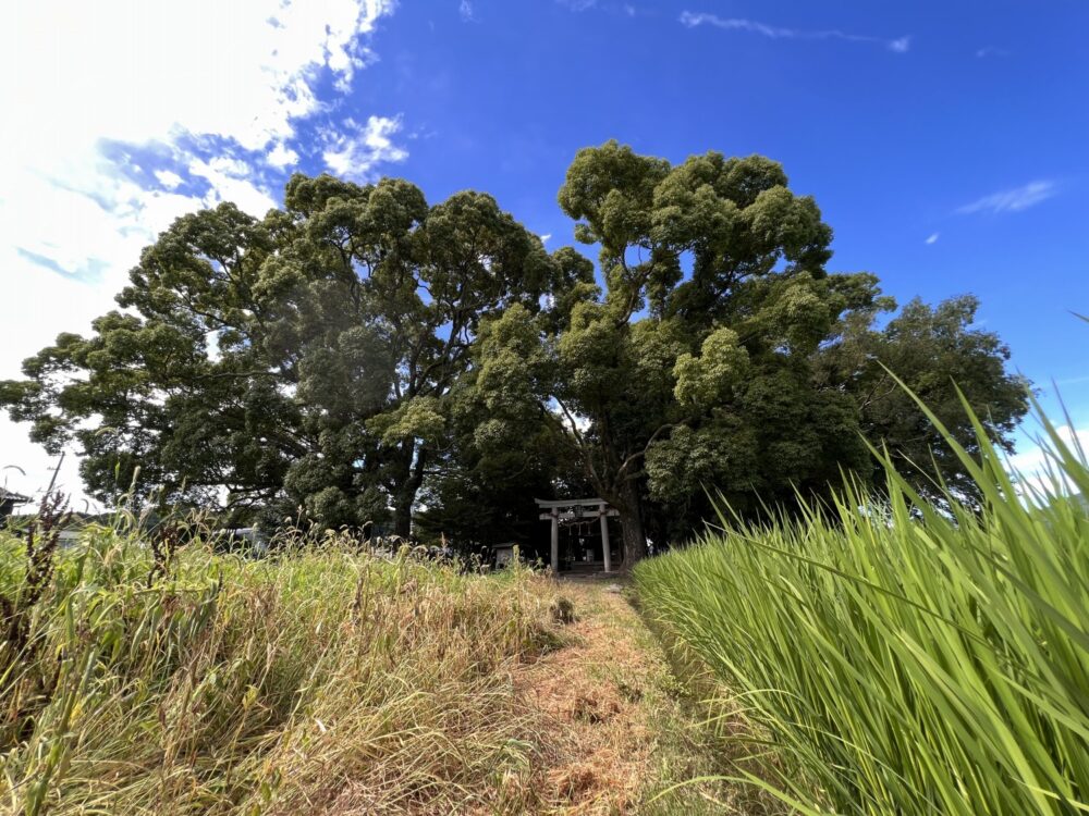 亀岡市千代川町の藤越神社