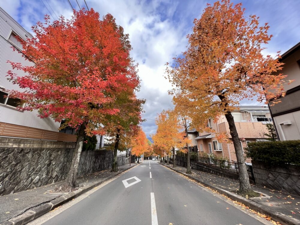 亀岡市南つつじヶ丘大葉台の景色